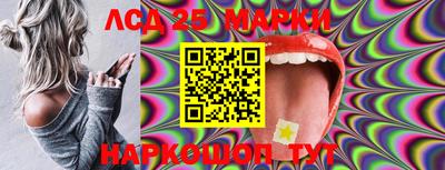 индика Пенза