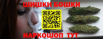индика Пенза