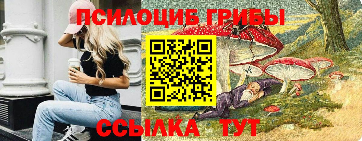 Псилоцибиновые грибы мухоморы  Вход с VPN  Спасск-Дальний 